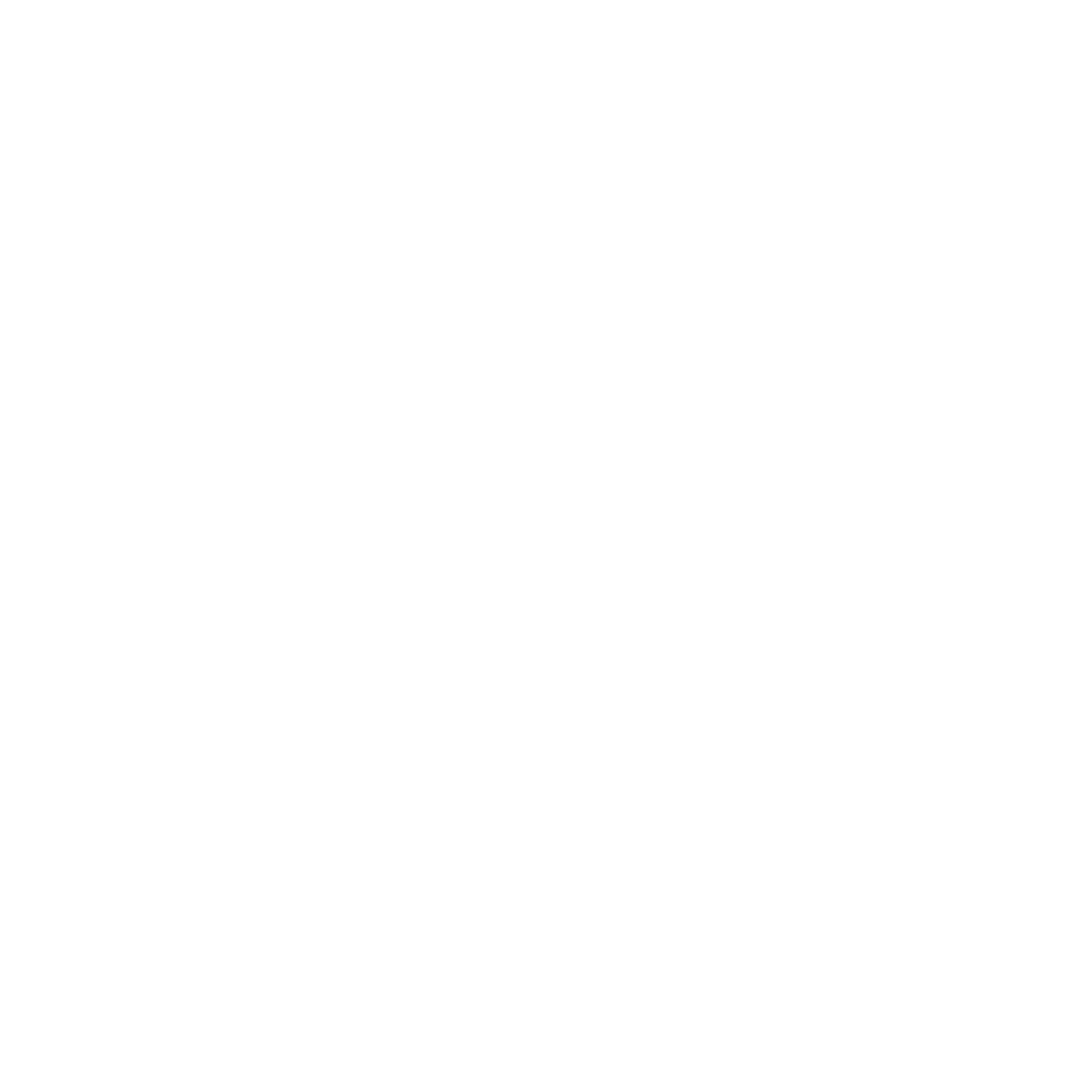 ISOLOGOTIPO BLANCO